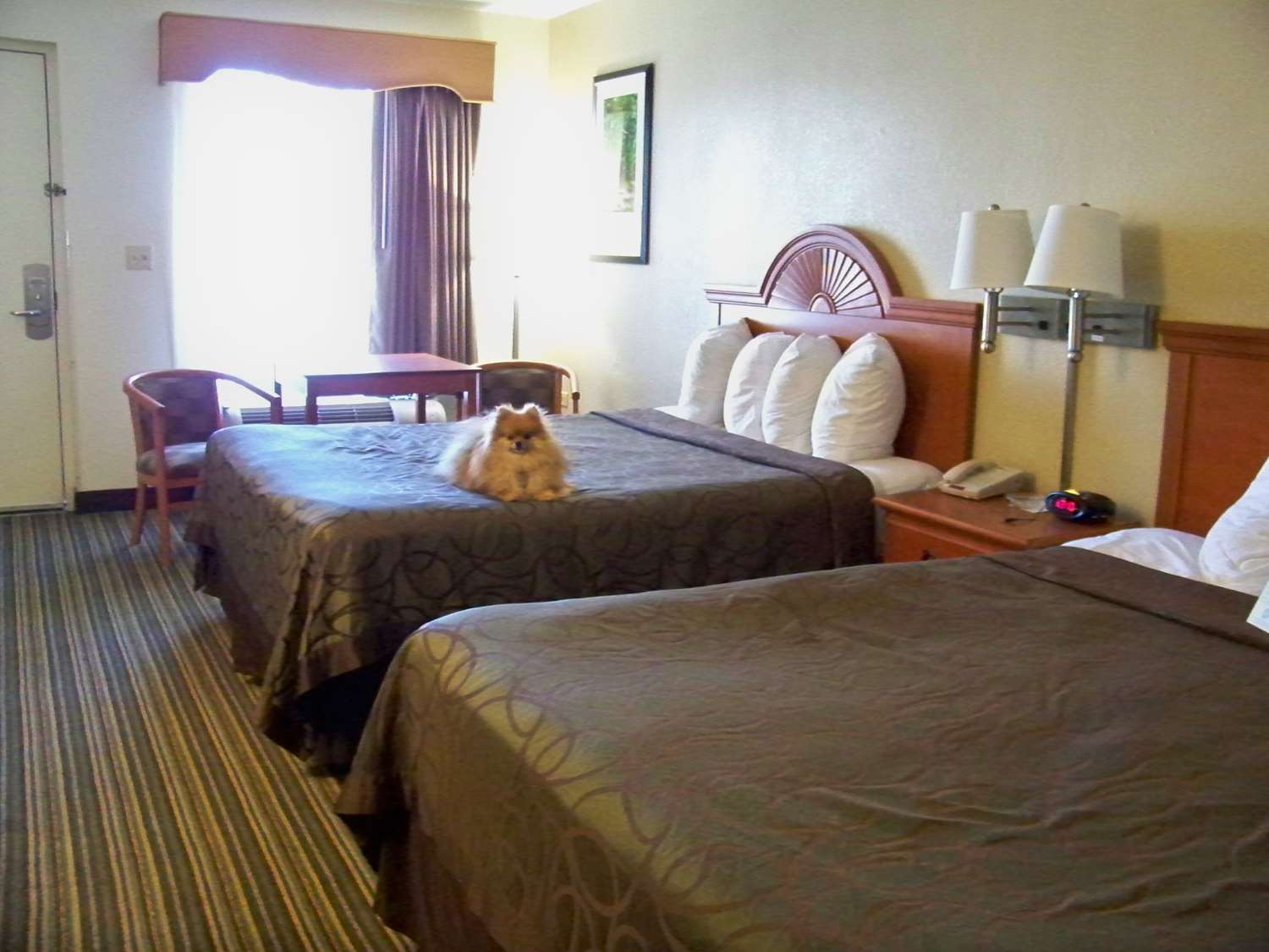 Best Western Of Murphy Ngoại thất bức ảnh